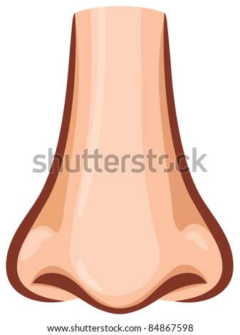 Nose Stock Vector 84867598 : Shutterstock