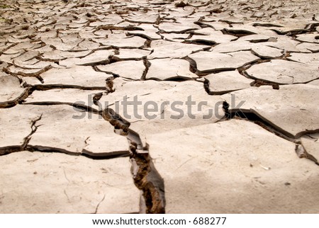 Dry mud cracks texture, Valtrebbia, Italy