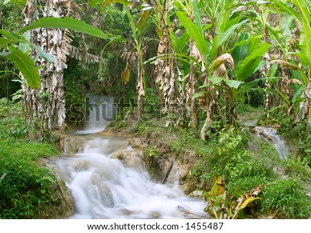 Cascada De Agua