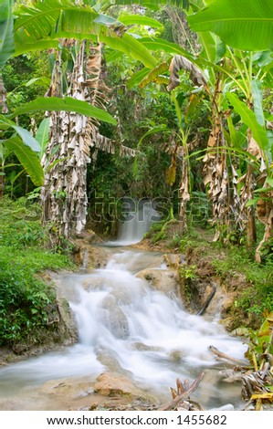 Cascada De Agua