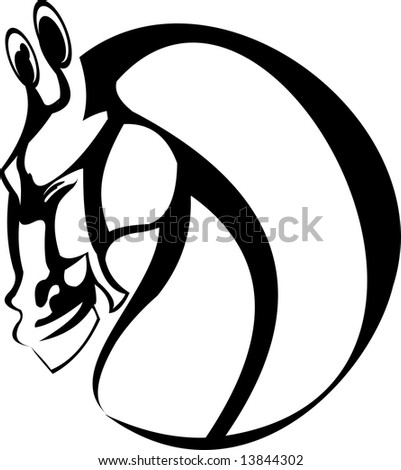 vector image of horse head isolated 