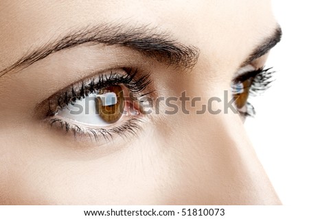 Close-up portrait of a beautiful female eyes
