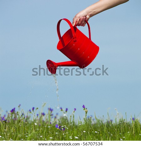 Female hand holding a water can and watering the flowers