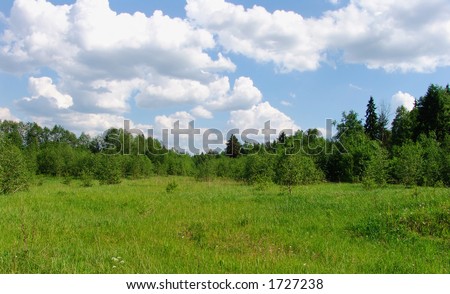 A generic landscape with trees, grass and clouds in the sky