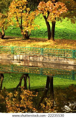 An autumn view of trees reflecting in water