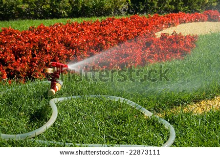 A water sprinkler irrigating grass and flowers