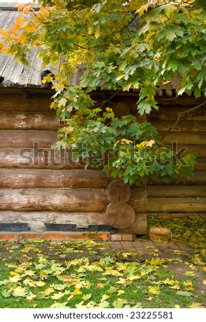 A wooden wall of a log house with autumn leaves