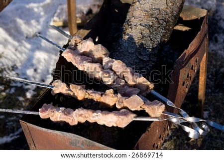Frozen meat on spitters