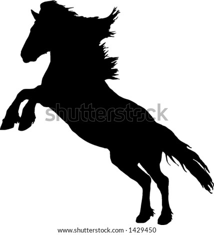 rearing horse silhouette. vector of a rearing horse