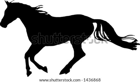 A Galloping Horse