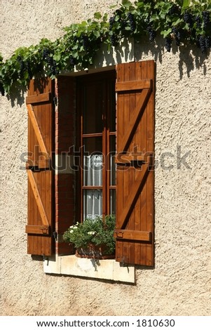 A detail (window) of a french home in a small village, wine grapes are hanging above the window