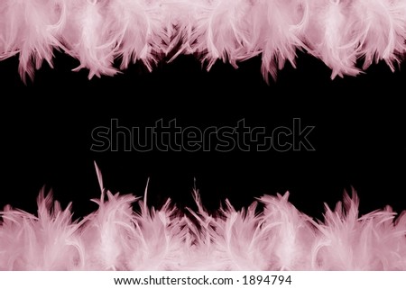 Light Pink Feathers