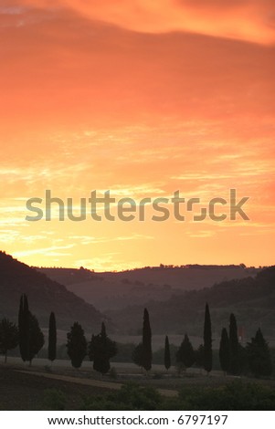 The sun paints the sky when it rises above the cypresses of Tuscany.