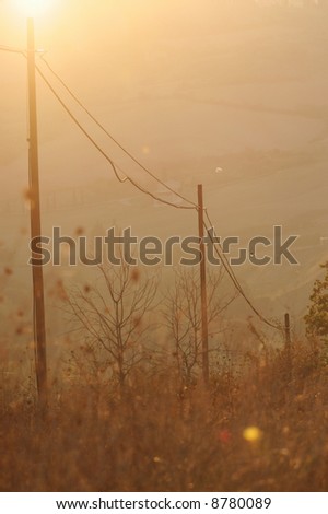 The sun rises over some cables in a friendly Tuscan hill landscape.