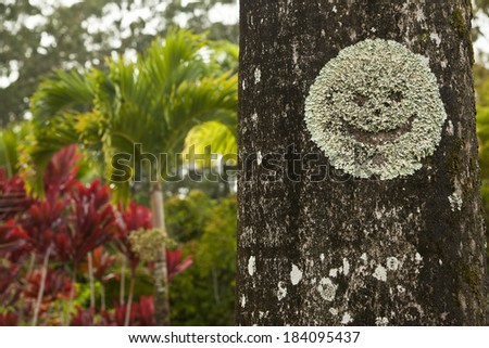 Smiley face growing on a tree at the Garden of Eden in Maui
