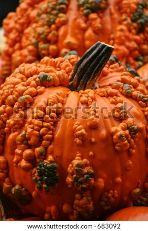 Bumpy one of a kind pumpkin