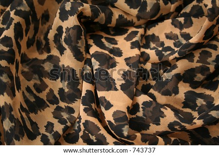 animal print background. stock photo : Leopard print