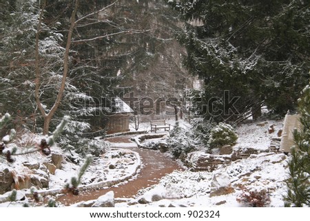 Winding path through the new fallen snow