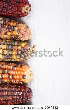 Indian corn border
