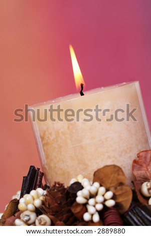 Candle with fall colors in the background and pine cones and dried flowers in the foreground; great for Thanksgiving