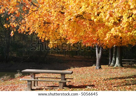 Picturesque fall scene in the park