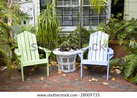 Pair of Adirondack chairs with a sleeping cat