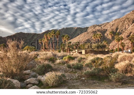 California Desert Landscape