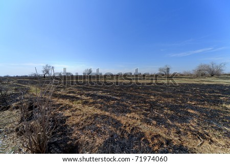Landscape in the Russian steppe to the scorched-earth and rare trees