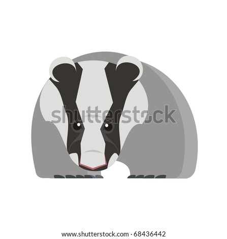 badger white background