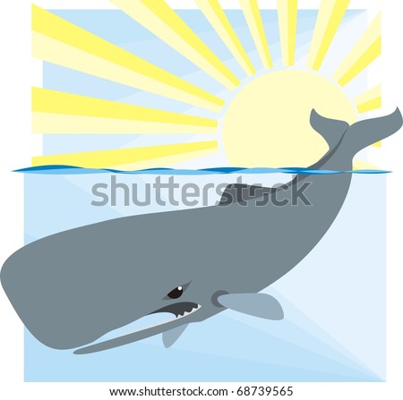 Colorful+whale