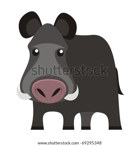 Boar Animal