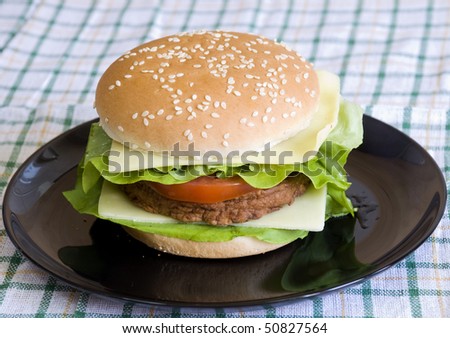 Delicious and fresh cheeseburger with lettuce, tomato and mayo