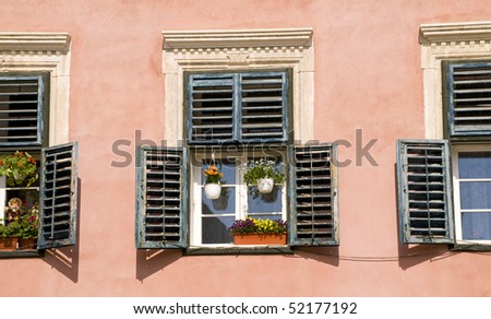 lovely view, flowers in the window