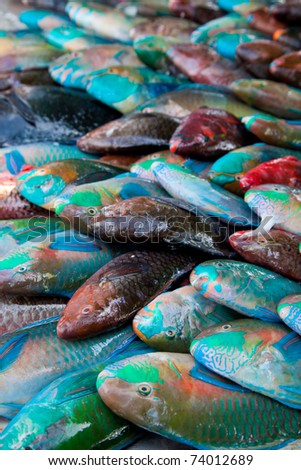 beautiful colorful fish on the counter. i have horizontal shot as well