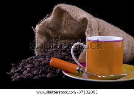 Coffee beans in the bag