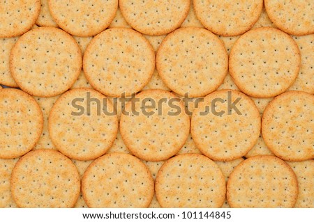 Closeup of a group of snack crackers lined up in a row. Fills the Frame.