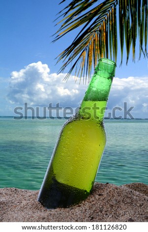 Closeup of a beer bottle stuck in the in the sand on a tropical beach. The ocean clouds and a single palm frond fill the background.