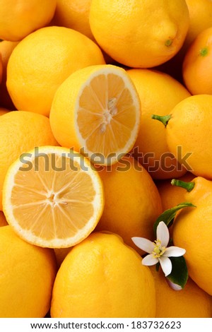 Closeup of a group of lemons with a cut lemon and a flower. Vertical format filling the frame.