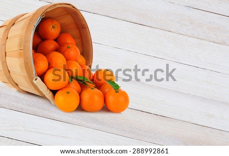 A basket of Clementine Mandarin Oranges tipped on its side with fruit spilling onto a rustic wood table.