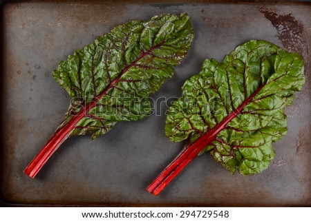 Two stalks of red chard on a metal baking sheet. High angle view in horizontal format.