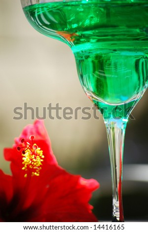 Green Drink in Margarita Glass with Red Hibiscus Flower with copyspace selective dof