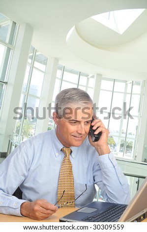 Mature Businessman seated at desk talking on phone looking at his laptop computer in modern office setting