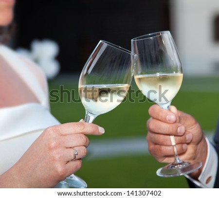 Bride and groom making a toast at sunset.