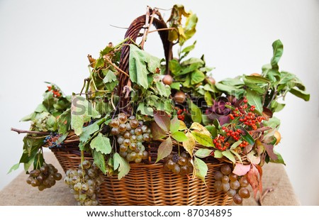 Basket with white grapes, leaves, red and blue berries.