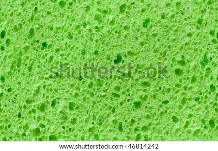 Green texture cellulose foam sponge. Background.