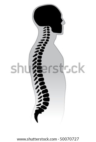 Human Spine Vector