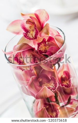 A close up picture of pink flowers in a see through vase.