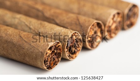 Five cigars being photographed from a angle.