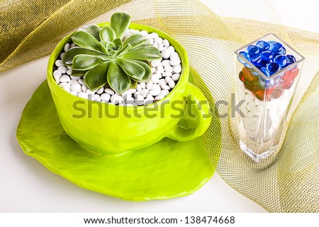 image of a big green paper mache cup holding a baby fat plant and a vase filled with colorful pebbles surrounded by net material