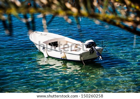image of a white boat floating in the shallow aqua waters viewed through the branches of a palm tree